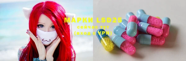 apvp Магас