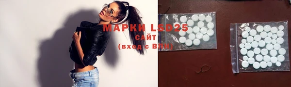 apvp Магас
